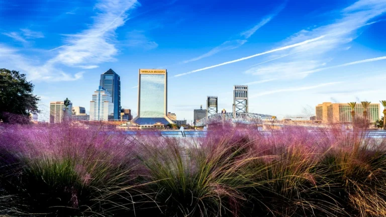 Jacksonville Chauffeur Service
