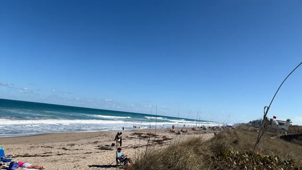 Cartier Limousine Services private city tours